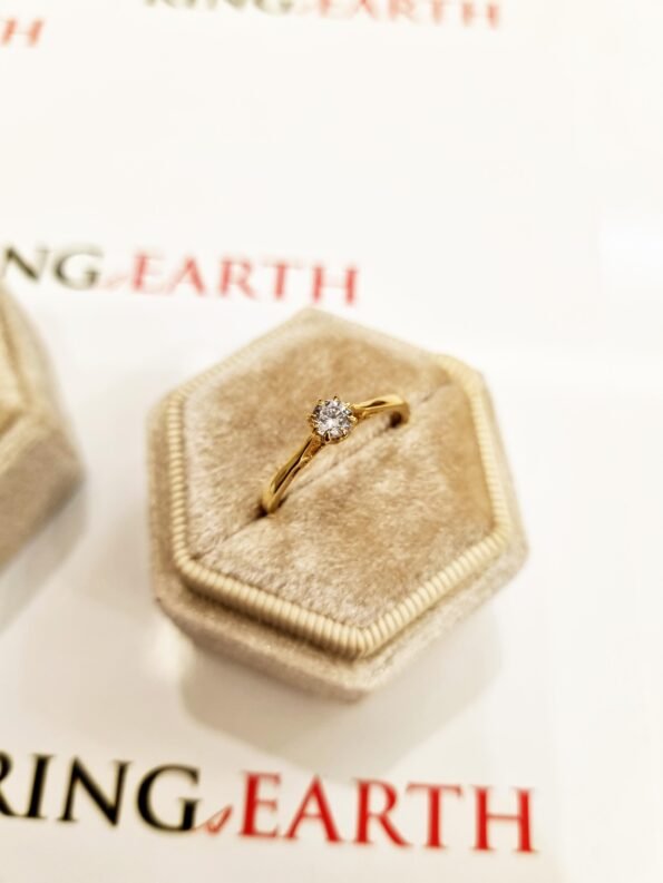 Timeless Beauty in 14k Gold: E/VS1 Engagement Ring