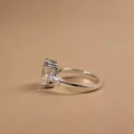 D499-3ct_2