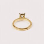 1CT Princess Cut Lab Diamond Hidden Halo Ring in 14K Gold