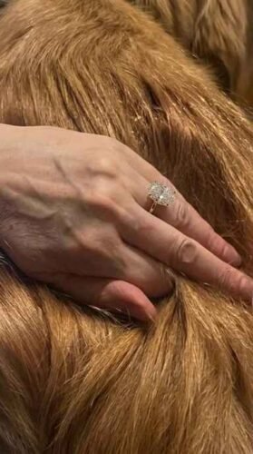 Click to view full screen 4.21 carat Oval Cut Lab Grown Diamond Solitaire Engagement Ring 14K Gold E/VVS1 IGI Certified photo review